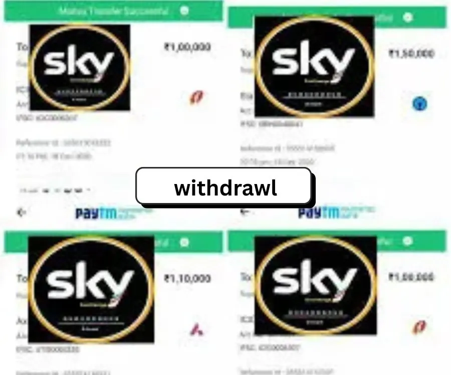 skyexchange withdrawl
